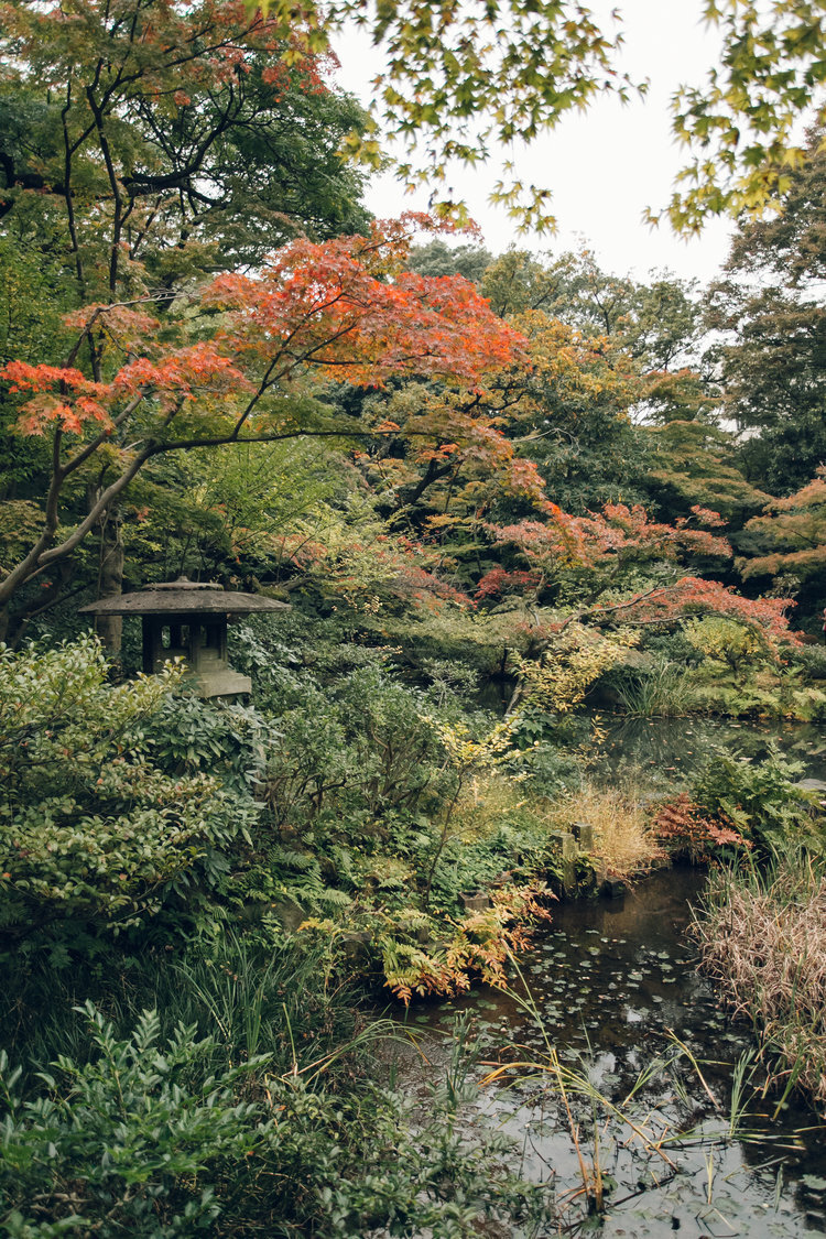 B162 日本 庭院 风景 树林