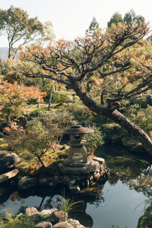 B162 日本 庭院 风景 