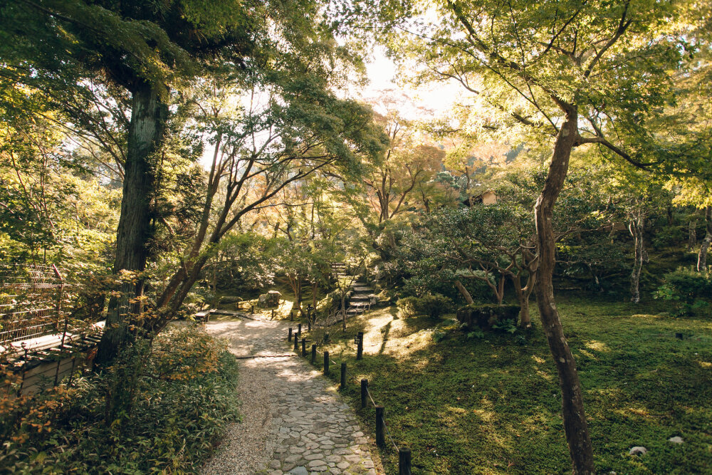 B162 日本 庭院 风景 