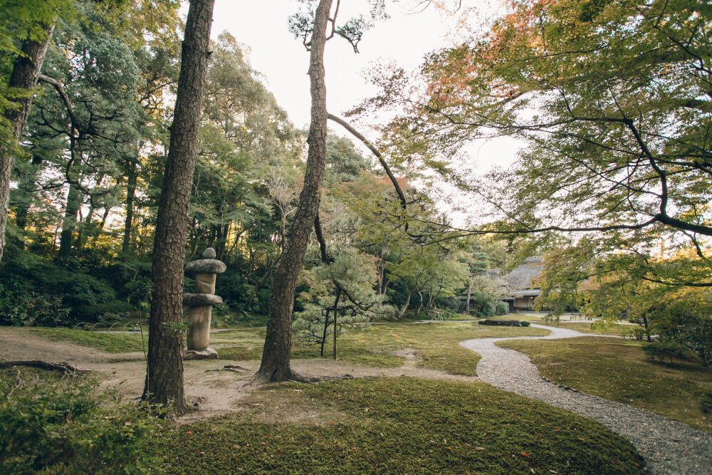 B162 日本 庭院 风景 