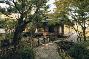 B162 日本 庭院 风景 