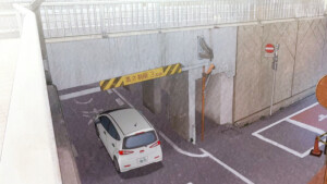 桜の下の约束【兔缨】