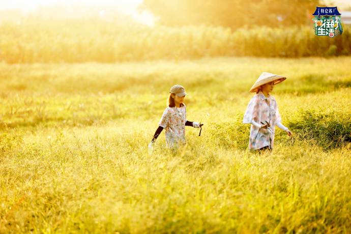 女孩们是由什么构成的？或许是鲜花、阳光和夏天的风。