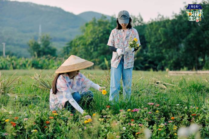 女孩们是由什么构成的？或许是鲜花、阳光和夏天的风。