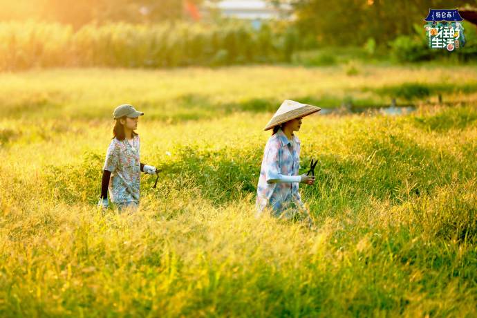 女孩们是由什么构成的？或许是鲜花、阳光和夏天的风。