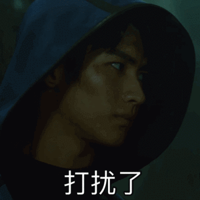 重启之极海听雷————小哥