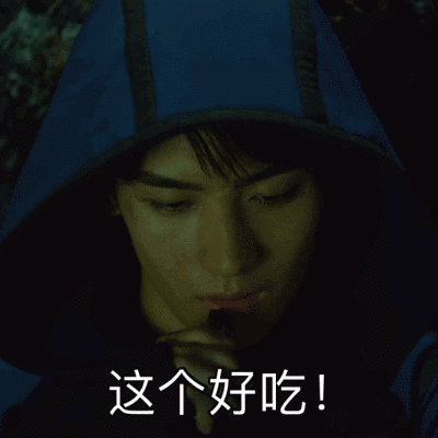 重启之极海听雷————小哥