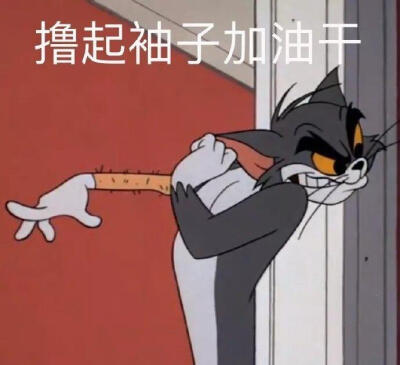 汤姆猫