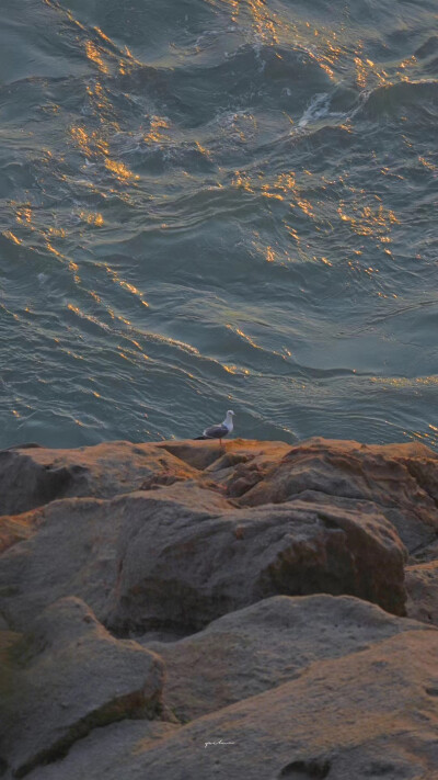 海水壁纸
海浪
晚霞