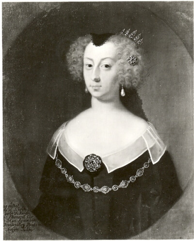 勃兰登堡的玛丽亚·埃莉奥诺拉（德文：Maria Eleonora von Brandenburg；瑞典文：Maria Eleonora av Brandenburg；英文：Maria Eleonora of Brandenburg，1599年11月11日~1655年3月28日），德国公主，后嫁为瑞典王后…