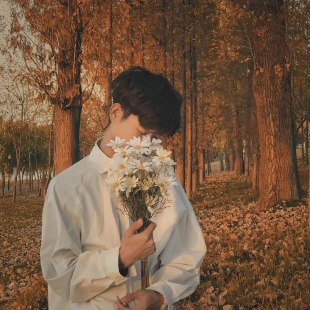 男头