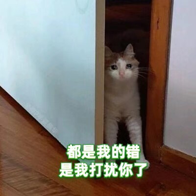 绿茶猫猫表情包