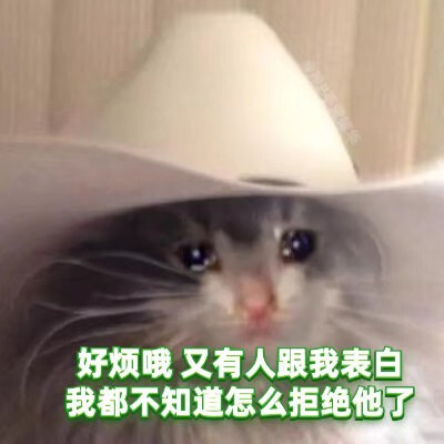 绿茶猫猫表情包