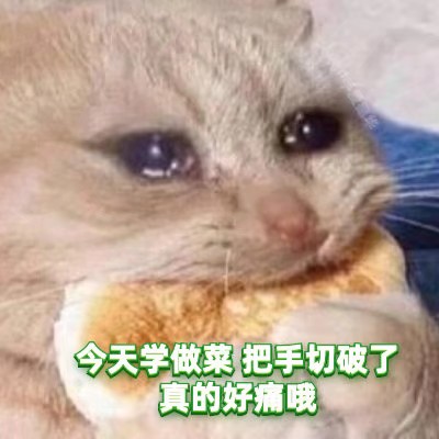 绿茶猫猫表情包