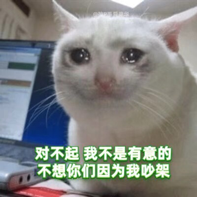 绿茶猫猫表情包