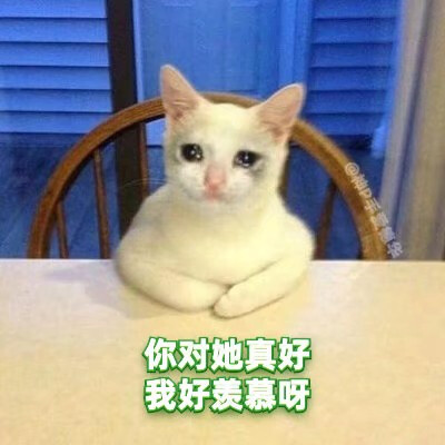 绿茶猫猫表情包