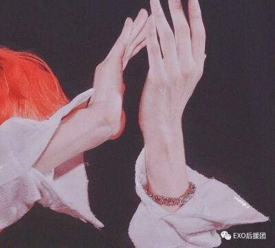 EXO伯贤，五巡