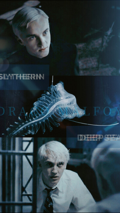 Draco Malfoy