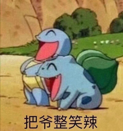 皮卡丘 杰尼龟