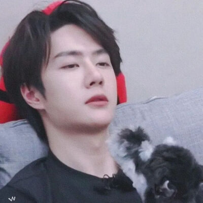 王一博的头像⑦