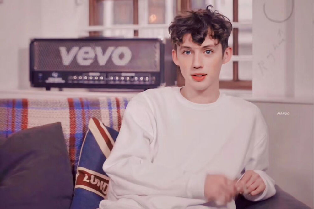 戳爷 Troye Sivan