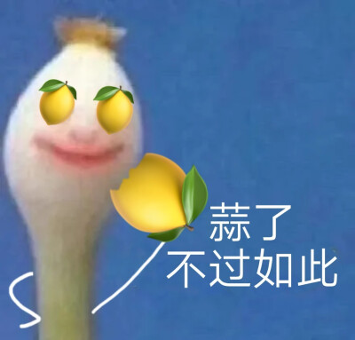 蒜了 一个人也挺好