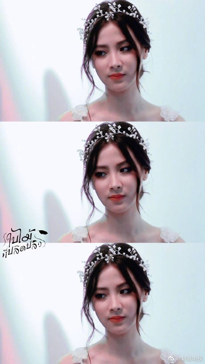 吹落的树叶 平采娜