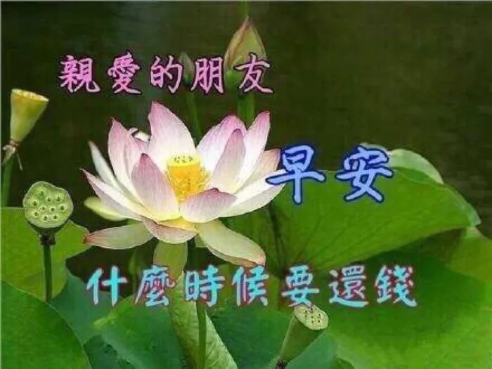 老年人表情