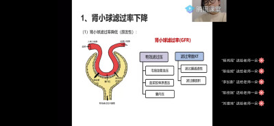 网课