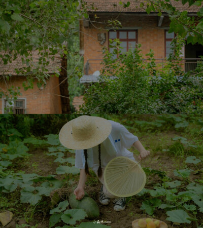 梅雨时节，任时光煮雨，自在轻饮，诗意生活。
朝来桃花晚来酒，与君常伴此茶楼
摄影@小森林Studio 