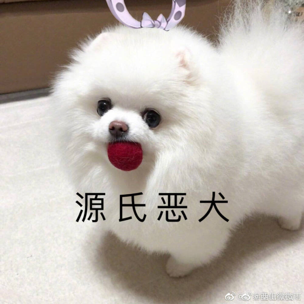 源氏恶犬