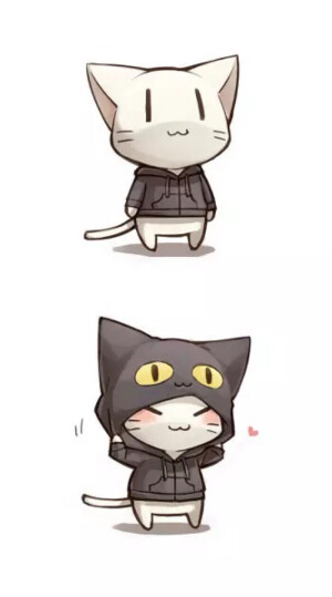 猫猫
