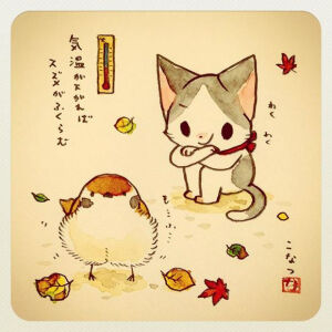猫猫