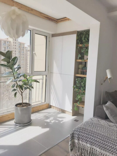 原木森系家装风格 小花园与眼前一亮的绿植