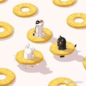 猫猫的冒险