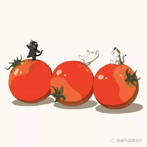 猫猫的冒险