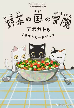 猫猫的冒险