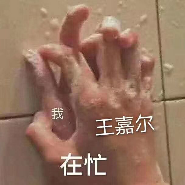 王嘉尔表情包