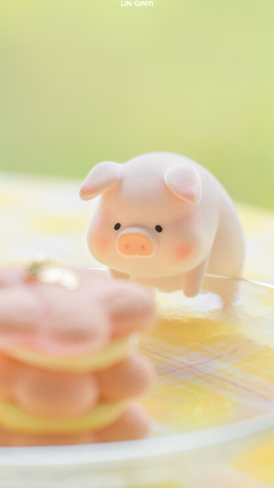 lulu猪的夏日限定
摄影：@七一林