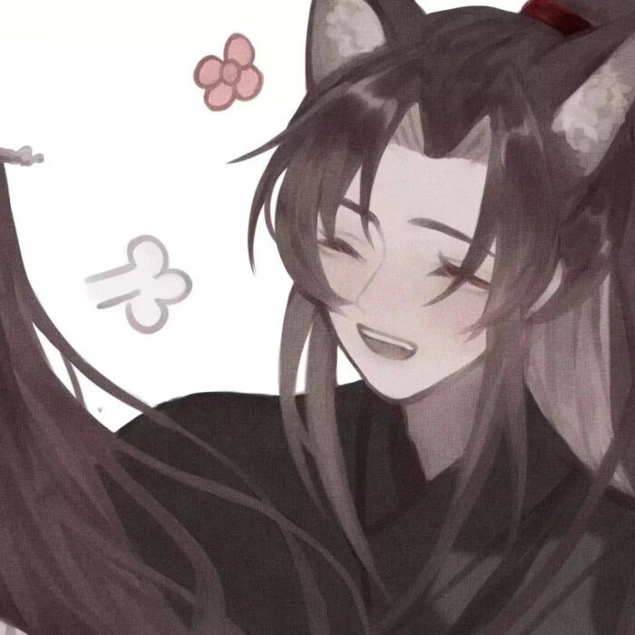 魔道祖师 蓝忘机 魏无羡