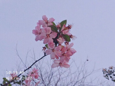 我喜欢的花，都开在阳光里
世间很美，万物可爱