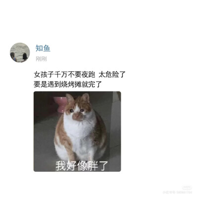 沙雕又可爱的朋友圈文案