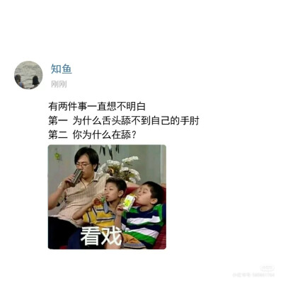沙雕又可爱的朋友圈文案
