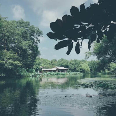 涟