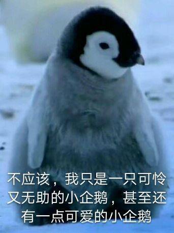 全职表情包