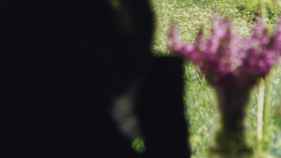 ❥ 拿图d，橙光素材 by：紫菜君.