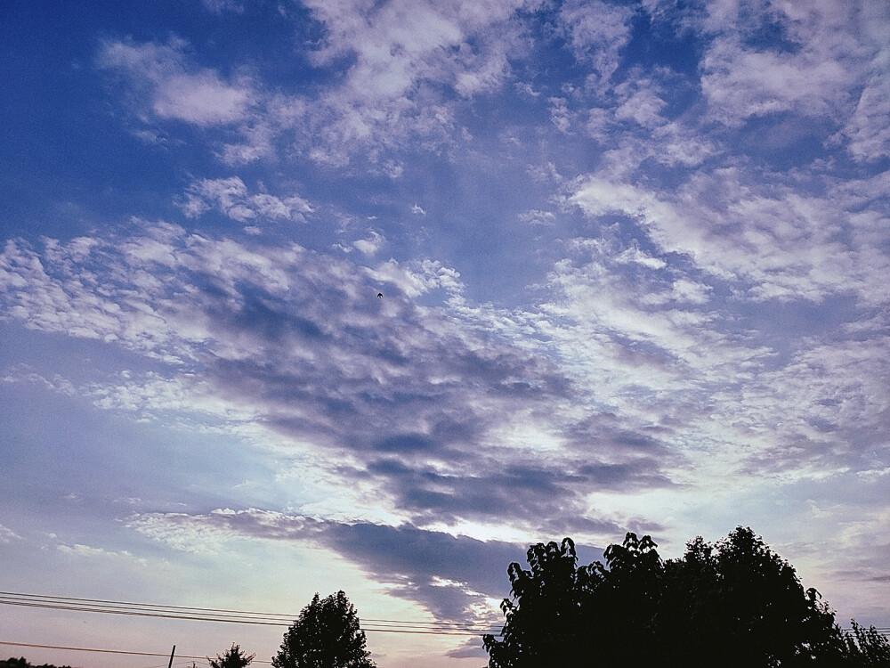 向往一片蓝天白云
不惹尘埃世俗 ​​​