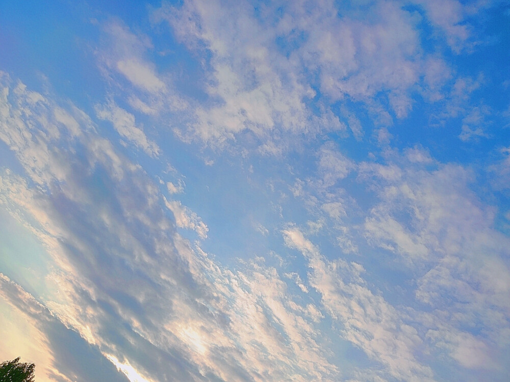 向往一片蓝天白云
不惹尘埃世俗 ​​​