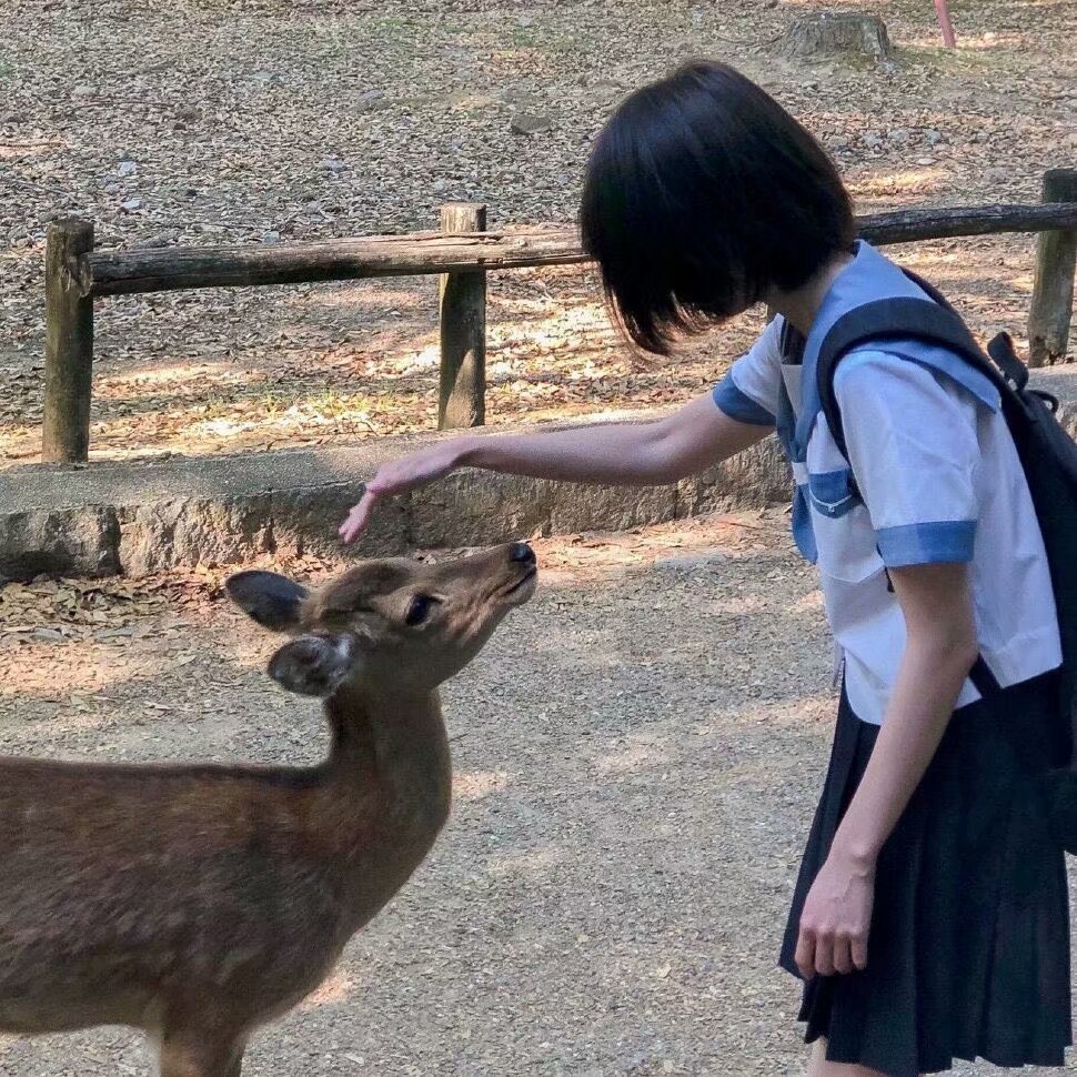 清澈温柔