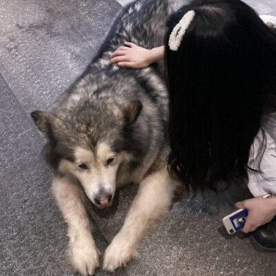 神仙情头
对象不是人系列